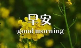 早安最新爆料图片