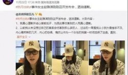 罗冠彦事件最新爆料新闻,揭秘关键证据与惊人内幕