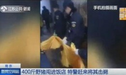 野猪男朋友爆料视频,揭秘背后惊人真相